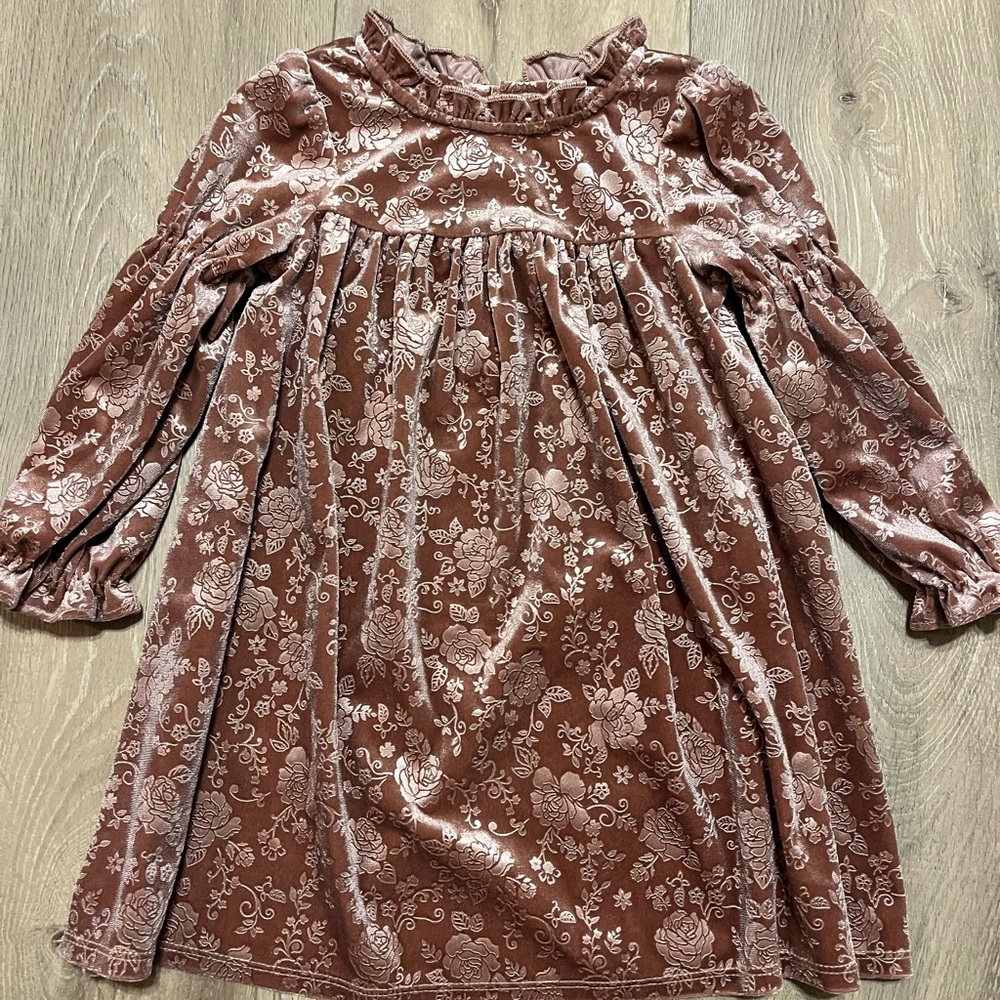 Floral Velvet Long Sleeve Dress
